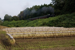 秋の伝統風景！