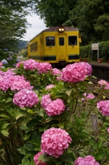 いすみ鉄道の初夏！