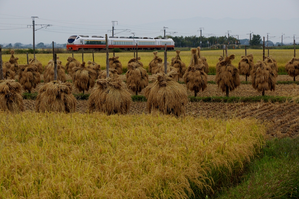 青森の田園風景！