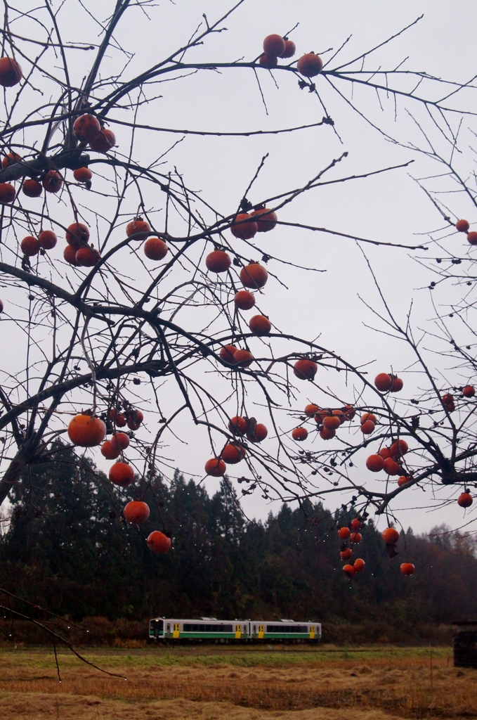 只見線初冬！①