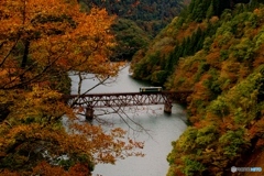 只見線　第３橋梁の紅葉！