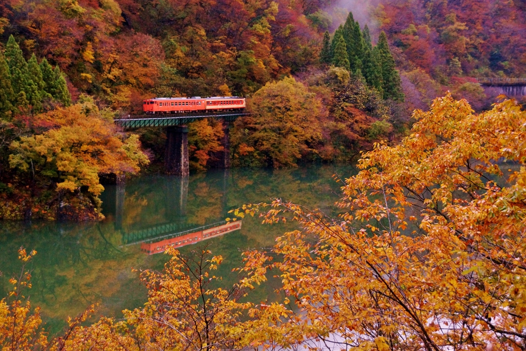 紅葉の大巻橋梁②