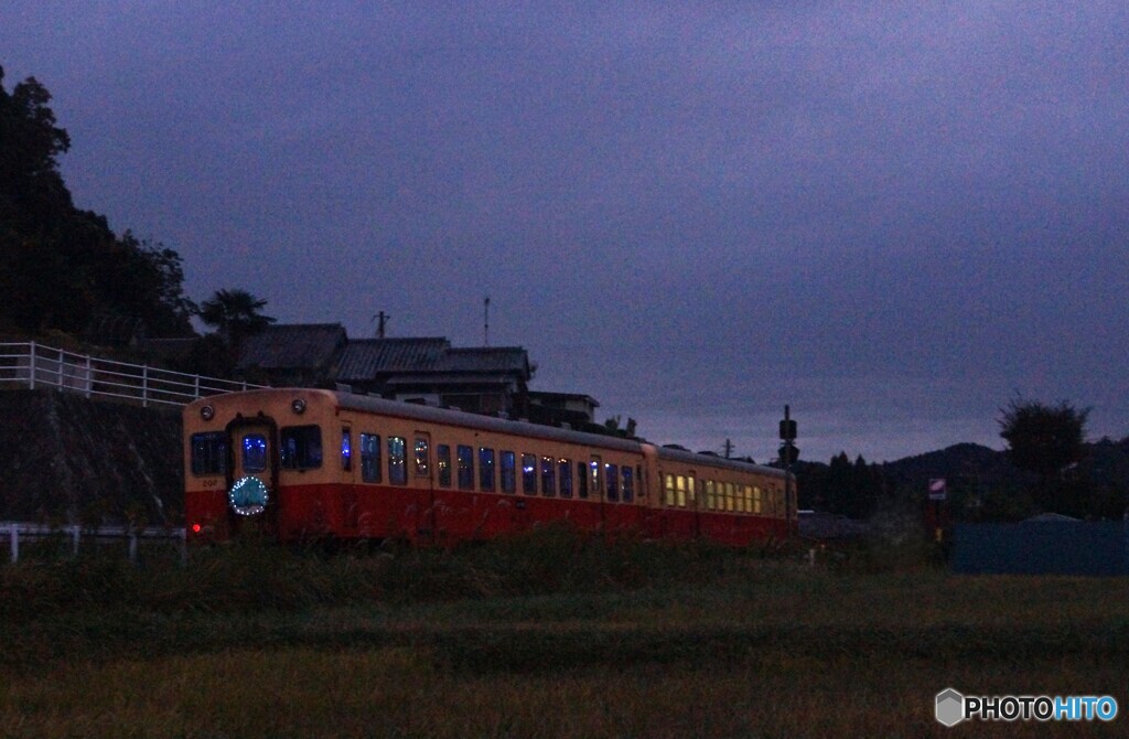 小湊鉄道イルミネーション装飾車両キハ208型！