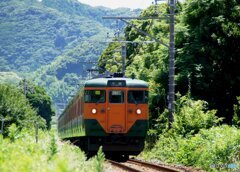 昔の内房線　113系湘南色スカ色混合編成！