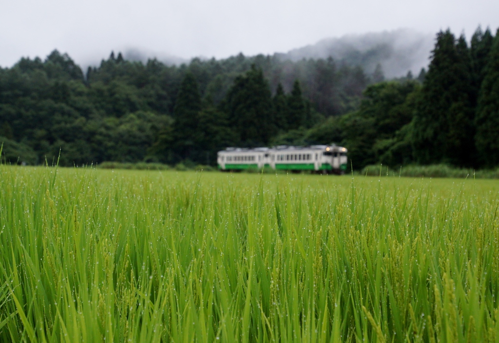 会津柳津の田園風景