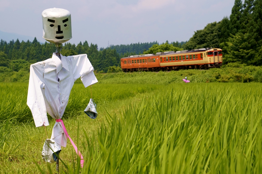 案山子クンが人気のキハを見守る？