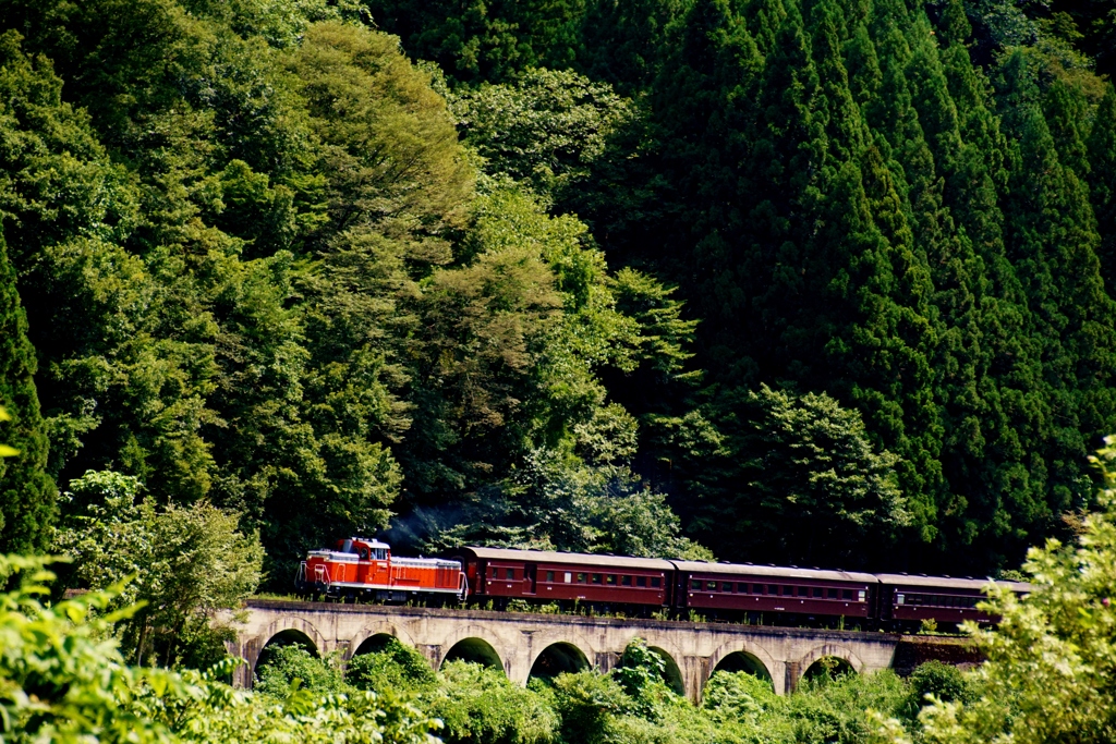 只見線「再開号」の代替え！