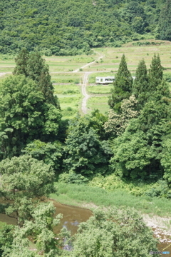 何度も登場するお気に入りの場所！