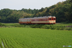 ひたちなか海浜鉄道の旧型キハ⑤（完）