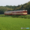 ひたちなか海浜鉄道の旧型キハ⑤（完）