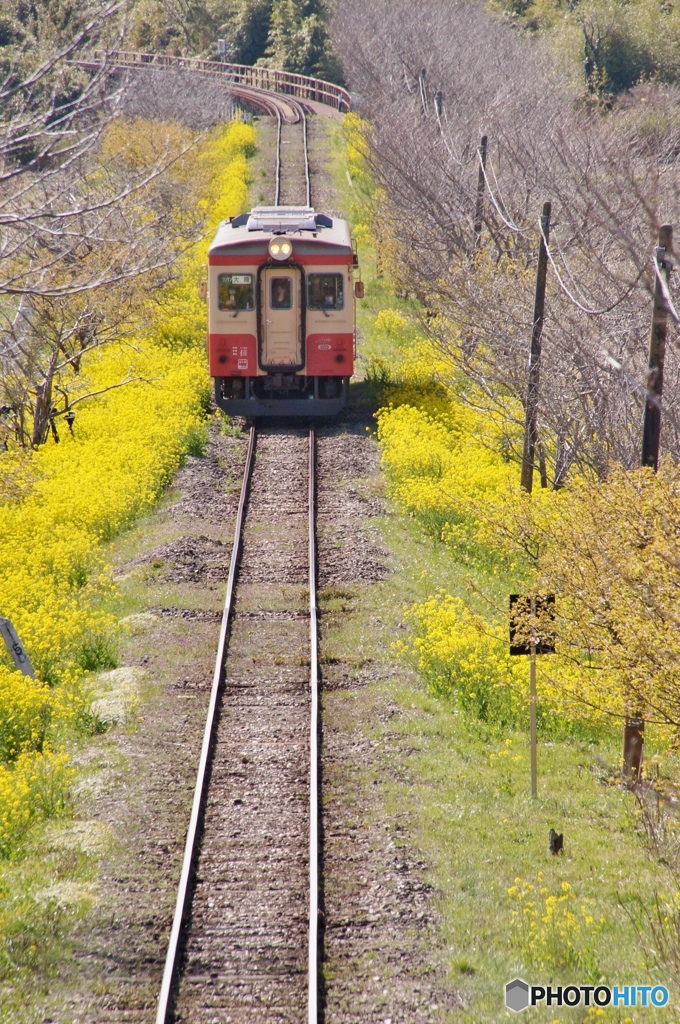 いすみ鉄道のキハ20！③（完）