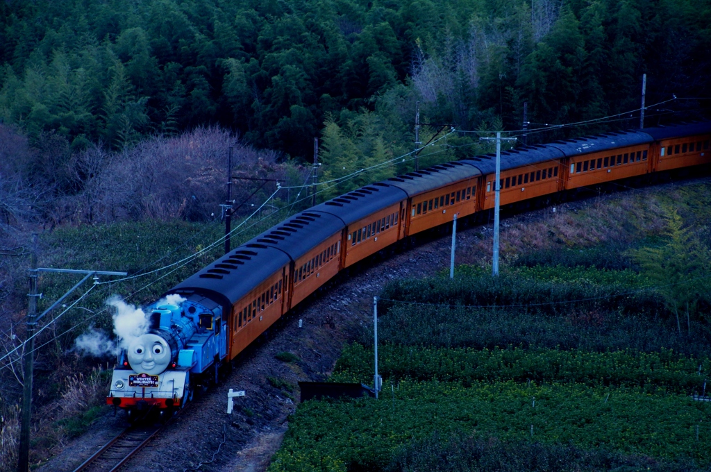 大井川鉄道トーマス号復活！④（完）