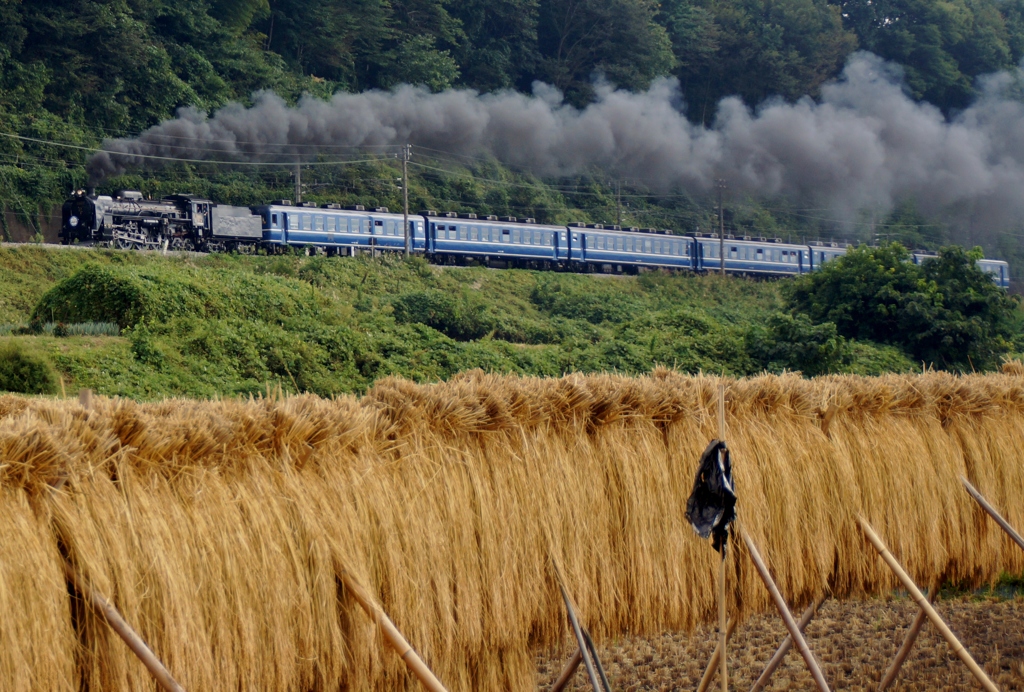 上州路のはさがけ風景