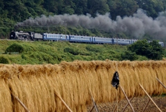 上州路のはさがけ風景