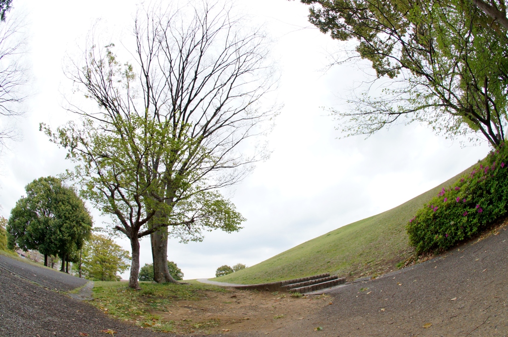 私の散歩道②