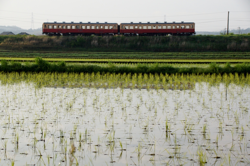 小湊鉄道沿線風景！④（完）