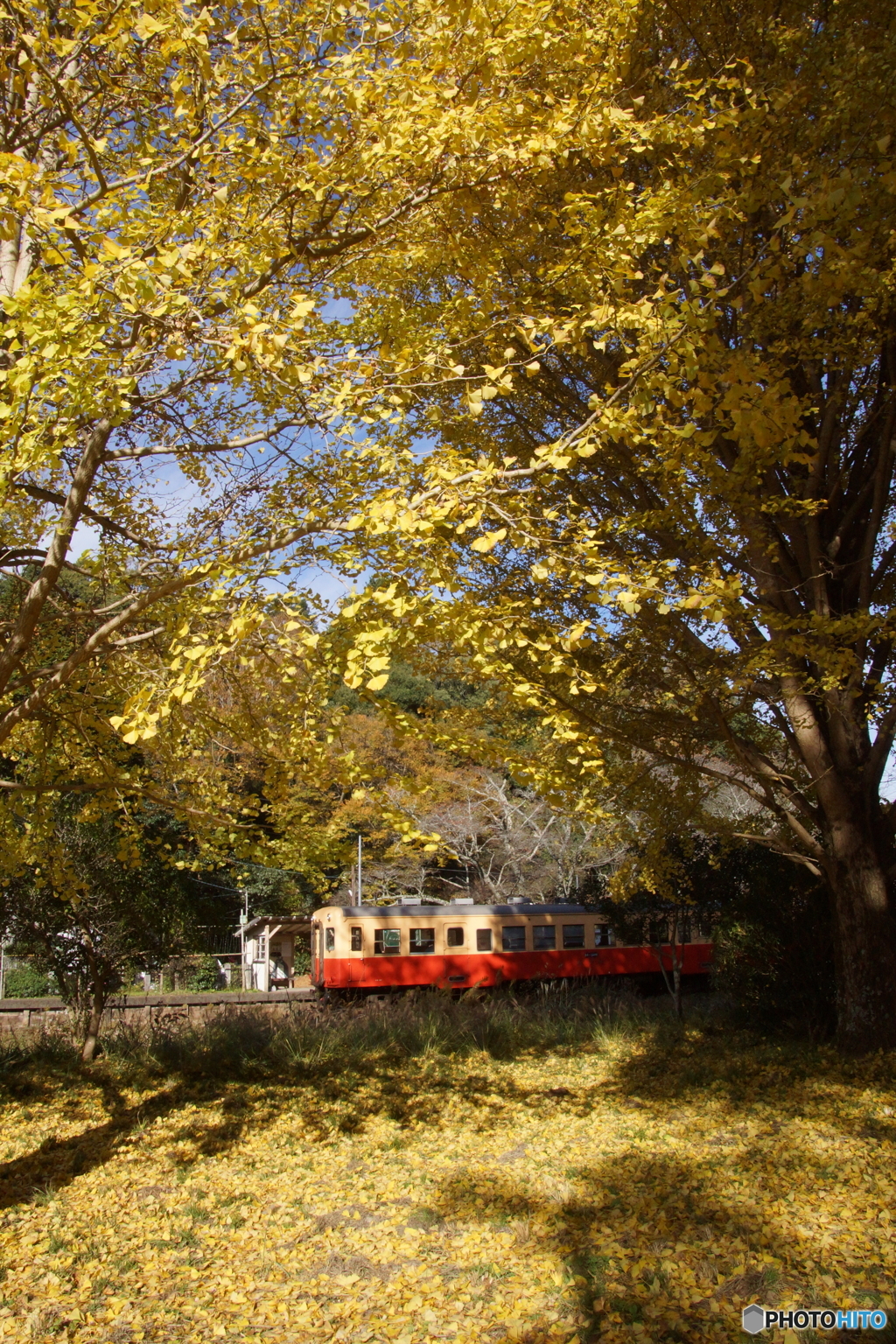 「トトロ」がいる駅！