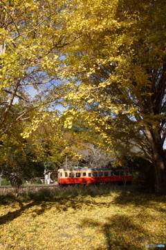 「トトロ」がいる駅！