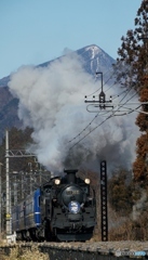 SL「大樹」４号　倉ケ崎花畑！