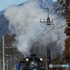 SL「大樹」４号　倉ケ崎花畑！