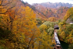 田子倉サミット‼