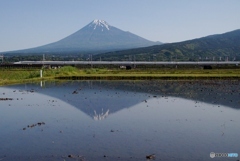 田んぼに写った富士山の水鏡と新幹線①