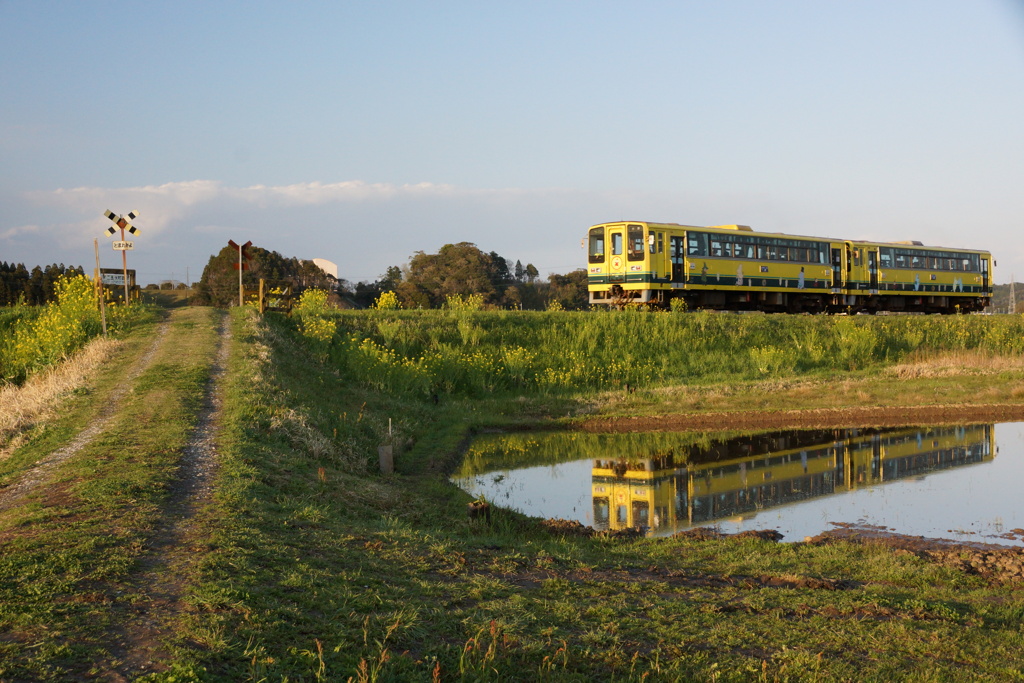 いすみ鉄道ムーミン車両！