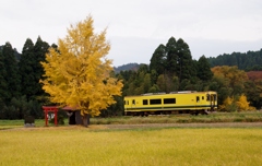 銀杏と祠のある里山風景！①