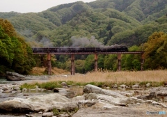 秩父鉄道に旧型客車が走る①～⑥の中の⑥（終）