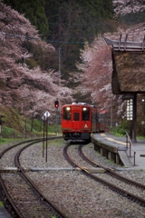 あいづ鉄道にも春が…②（完）