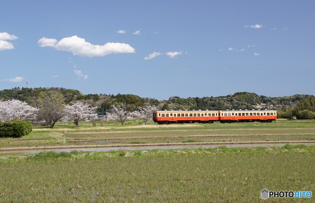 里山風景を走るキハ200！