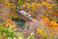 数年ぶりの撮影スポットから紅葉撮影！