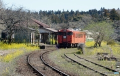 小湊鉄道　キハ40！