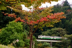 柳津は色づき始め！