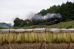 汽車に合う「はさがけ」風景