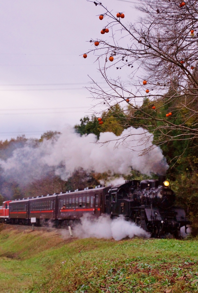 真岡鉄道　天矢場峠失作？