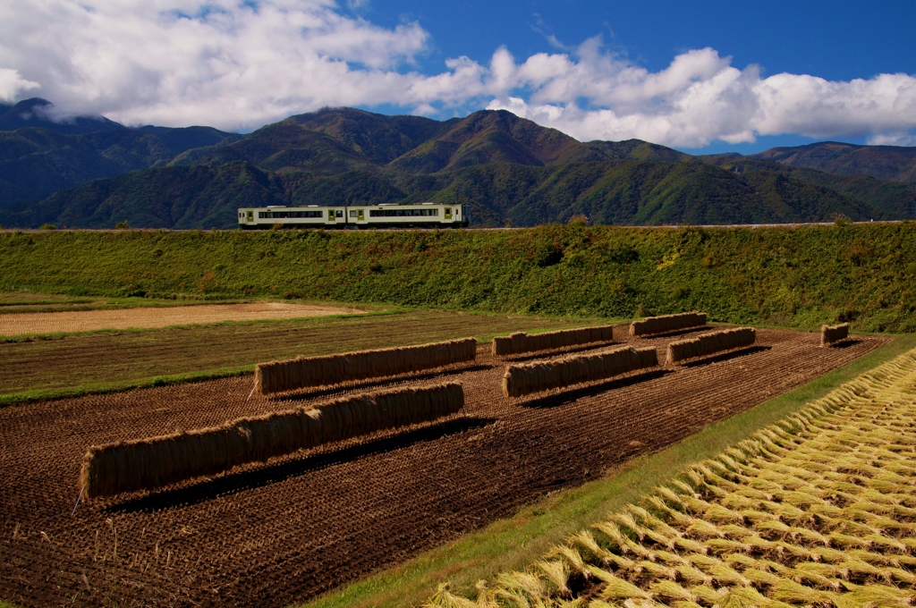 高原列車にハサガケ風景！③