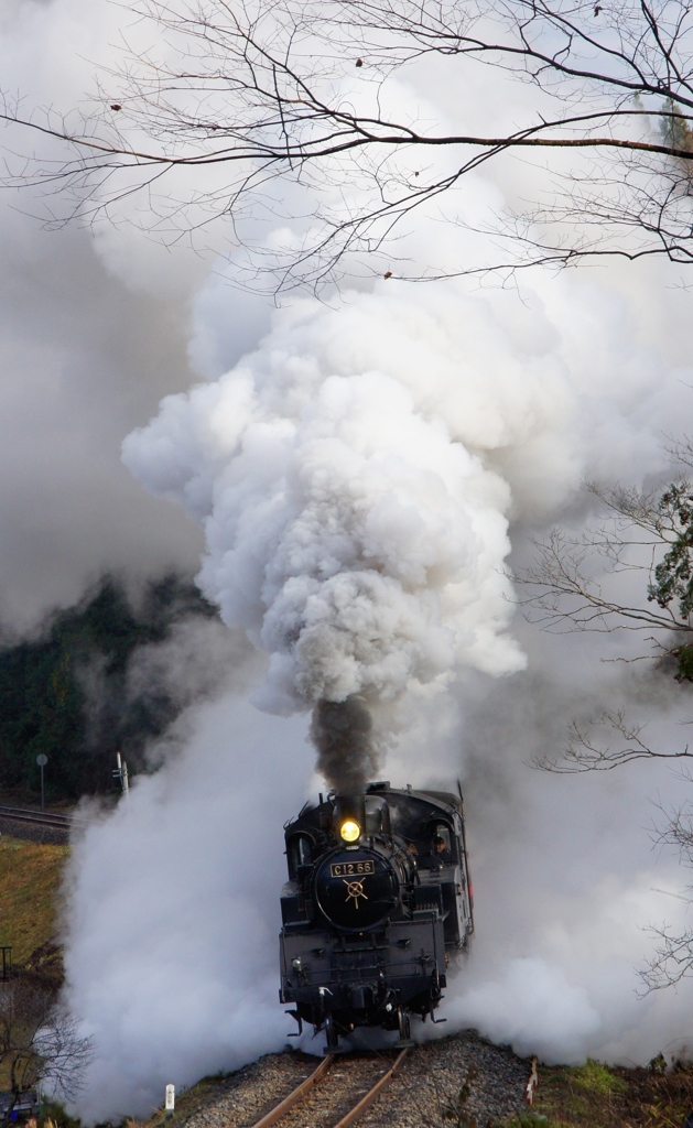 C12がこの煙り！