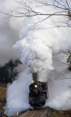 C12がこの煙り！