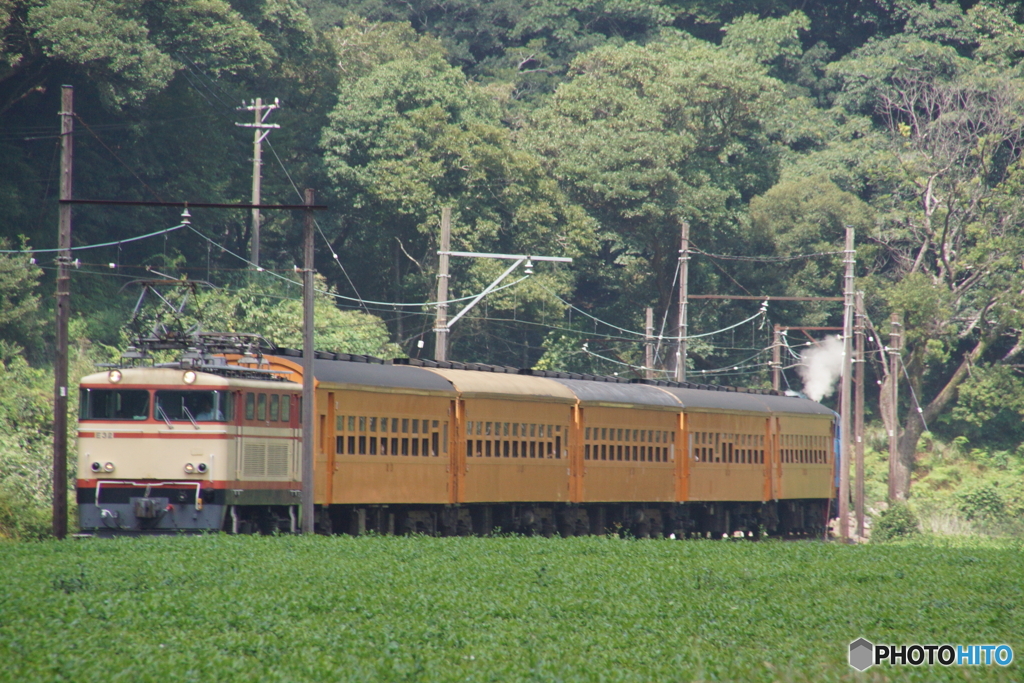 トーマス号バックビュー！