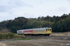 ひたちなか海浜鉄道の旧型キハ④