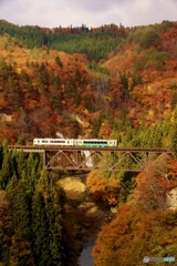 只見線　滝谷紅葉！