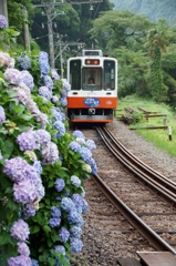 三線軌道区間を走る箱根登山電車！