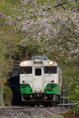 少しだけの花吹雪②