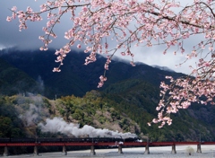 大井川鉄道　春の重連！②