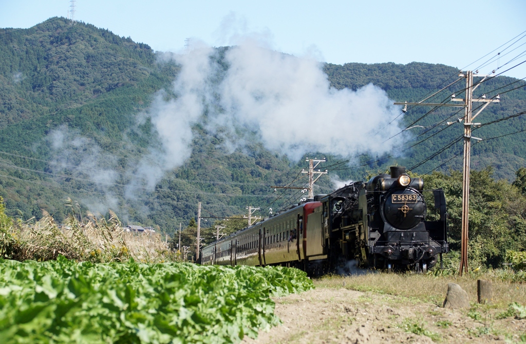 秩父鉄道シリーズ⑨