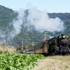 秩父鉄道シリーズ⑨