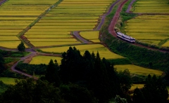 入広瀬俯瞰アップ