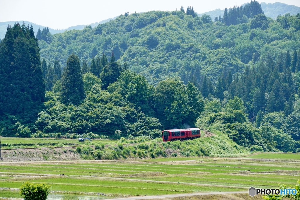 雪月花号　新緑の中を往く！