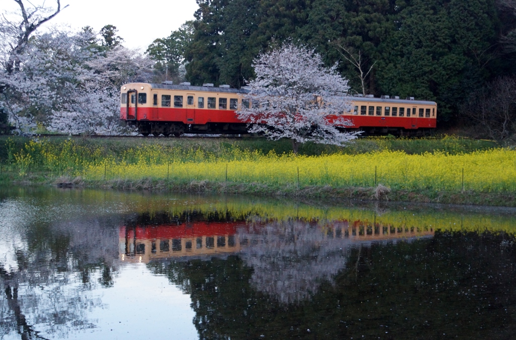 小湊鉄道「飯給」の情景①